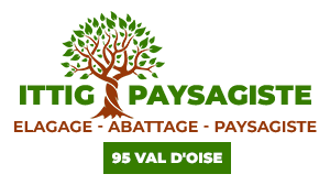 paysagiste-ittig-paysagiste